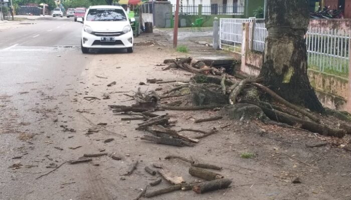 Pemotor Tertimpa Ranting Pohon di Jalan Desa Harapan
