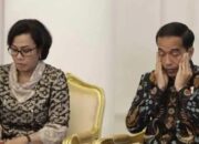Gara-gara Tekor APBN 2020 Melebar, Jokowi Tegur Sri Mulyani