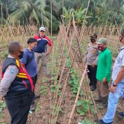 Polsek Tembilahan Hulu Lakukan Pengecekan Lahan Ketahanan Pangan di 3 Lokasi