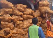 Bupati Inhil HM Wardan Turut Menolak Larangan Ekspor Kelapa