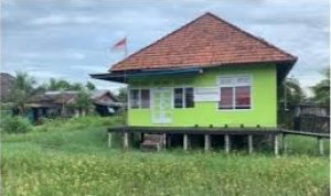 Sejarah Rumah Dinas Amir Enok, Masa Kolonial Belanda di Inhil