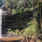 Air Terjun 86, Pesona Kepak Kuau Dikawasan Taman Nasional Bukit Tigapuluh