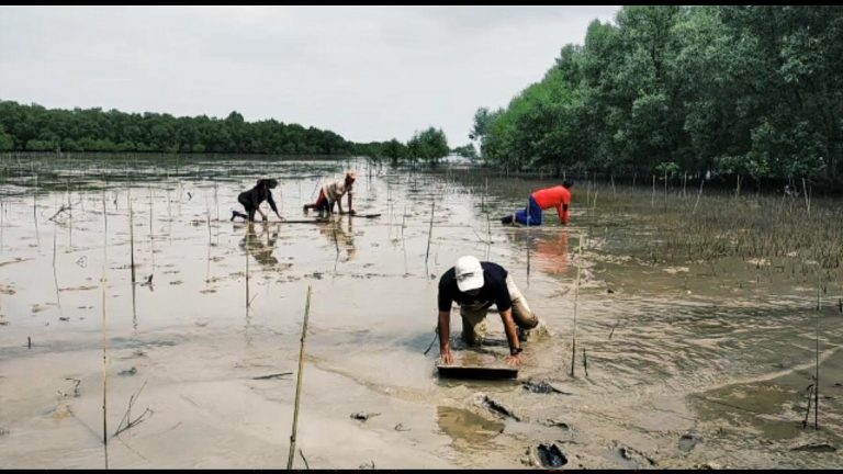 Foto Ekowisata Pantai Terumbu Mabloe di Desa Sungai Bela
