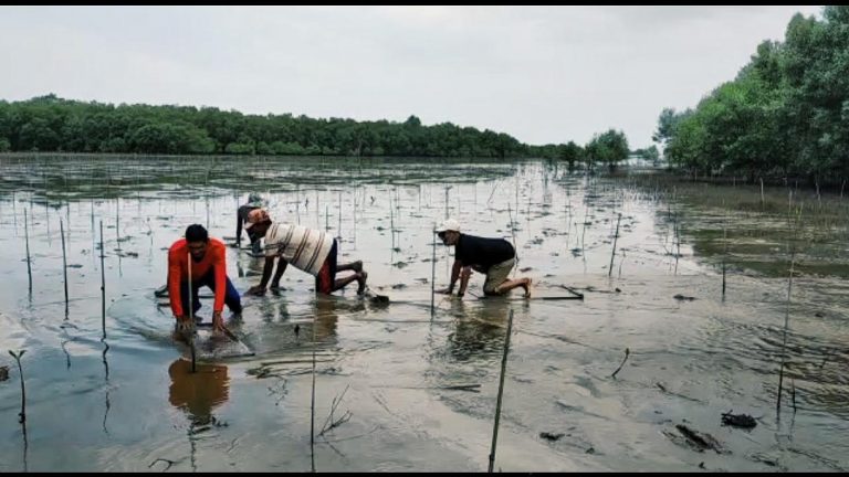 Foto Ekowisata Pantai Terumbu Mabloe di Desa Sungai Bela