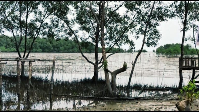 Foto Ekowisata Pantai Terumbu Mabloe di Desa Sungai Bela