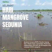 Hari Mangrove Se-Dunia, Inisiatif Dari Kampung, Akselerasi Rehabilitasi Mangrove