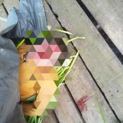Warga Pintasan Gaung Digegerkan dengan Penemuan Mayat Laki-laki