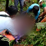 Warga di Riau Tewas Mengenaskan, Diduga Diserang Harimau di Inhil