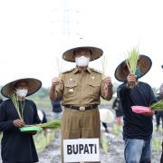 Bupati HM Wardan Nyatakan Inhil Siap Sukseskan Ketahanan Pangan 1000 Hektar
