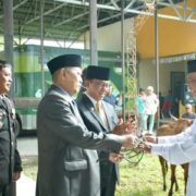 Hewan Kurban di Lingkungan Setda Inhil Meningkat, Bupati HM Wardan Berikan Apresiasi