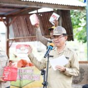 Bupati Instruksikan Segera OPD Terkait Tangani Tanah Longsor di Tanah Merah