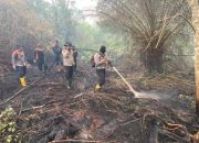 Karhutla Hanguskan Puluhan Hektar Lahan di Keritang, Kapolres Inhil Turun Langsung