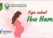 Dinkes Inhil Sampaikan Tips Kesehatan yang Penting Bagi Ibu Hamil