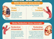 Dinkes Inhil: Yuk Kita Mengenal Lebih Dekat Tentang Penyakit Stroke Jenis dan Kondisinya