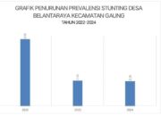 Penurunan Prevalensi Stunting di Desa Belantaraya Kecamatan Gaung Terus Ditingkatkan