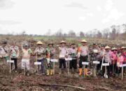 Kabupaten Inhil Dapat Alokasi 53.000 Hektar, Penanaman Perdana Jagung Dimulai di Kuala Sebatu