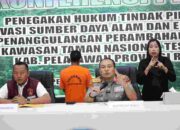 Polda Riau Tangkap Penjual Lahan di Hutan Tesso Nilo