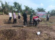 Dukung Program Asta Cita, Polsek Tanah Merah Gelar Penanaman Jagung di Desa Tanjung Baru