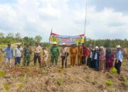 Polsek Tanah Merah Dukung Ketahanan Pangan Lewat Pendampingan Penanaman Jagung di Desa Selat Nama