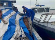 Satpolairud Inhil Sisir Laut Kateman, Ini Hasil Operasi Program JALUR