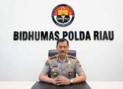 Polda Riau Intensif Ungkap Kasus Perburuan Gajah di Pelalawan, 40 Saksi Telah Diperiksa
