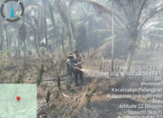 Api di Lahan Gambut Pelangiran Akhirnya Jinak, Koramil 10 Bergerak Cepat
