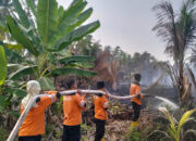 Kebakaran Lahan 2 Hektare Saat Lebaran, Ini Aksi Cepat Tim RSUP