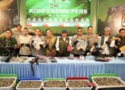 Polda Riau Tangkap Sindikat Pembunuh Gajah Tanpa Kepala