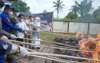 Puluhan Ton Pangan Ilegal Dimusnahkan, Wabup Inhil: Negara Tak Boleh Kalah