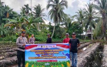 Kapolsek Tembilahan Turun ke Lahan, Tanam Jagung Dukung Asta Cita