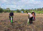 Dukung Ketahanan Pangan, Polsek Kateman Kembali Tanam Jagung di Desa Air Tawar