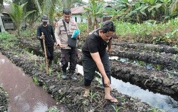 Polsek KSKP Tembilahan dan Petani Bersinergi Perkuat Ketahanan Pangan di Inhil