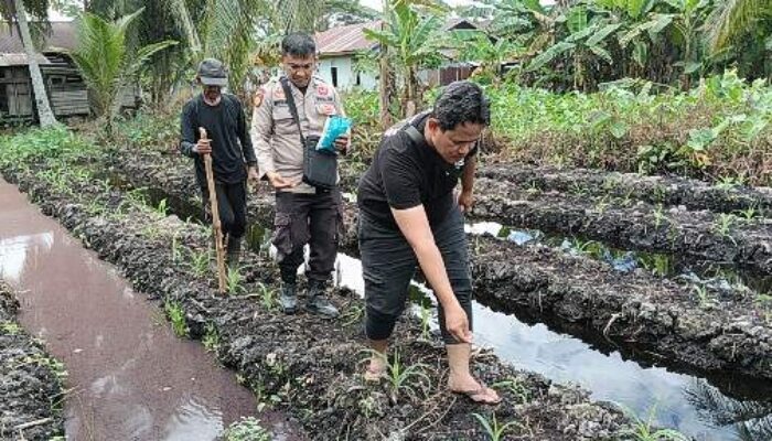 Polsek KSKP Tembilahan dan Petani Bersinergi Perkuat Ketahanan Pangan di Inhil