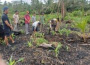Perkuat Swasembada Pangan, Polsek Tanah Merah Monitoring Persiapan Tanam Jagung