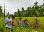 Polisi Turun ke Sawah, Polsek Sungai Batang Dampingi Petani Demi Ketahanan Pangan