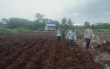 Dukung Ketahanan Pangan, Bhabinkamtibmas dan PT RSA Kompak Siapkan Lahan Jagung di Mandah