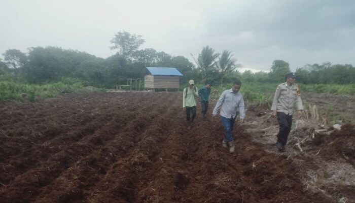 Dukung Ketahanan Pangan, Bhabinkamtibmas dan PT RSA Kompak Siapkan Lahan Jagung di Mandah