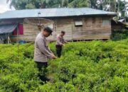 Polsek KSKP Tembilahan Galakkan Penanaman Cabai Rawit, Dukung Program Ketahanan Pangan Nasional