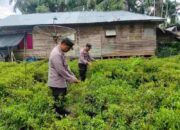 Polsek KSKP Tembilahan Galakkan Penanaman Cabai Rawit, Dukung Program Ketahanan Pangan Nasional