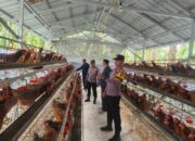 Polsek Sabak Auh Gandeng Masyarakat Sukseskan Program Ketahanan Pangan Ayam Petelur