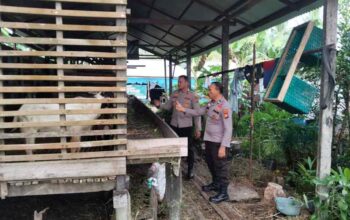 Akselerasi Ketahanan Pangan di Inhil, Polsek KSKP Tembilahan Sambangi Peternak Kambing Berikan Penyuluhan