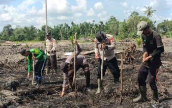 Dari Pengamanan ke Pertanian, Polsek Sungai Batang Aktif Dampingi Petani Tanam Jagung