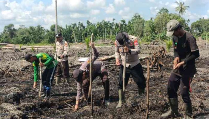 Dari Pengamanan ke Pertanian, Polsek Sungai Batang Aktif Dampingi Petani Tanam Jagung