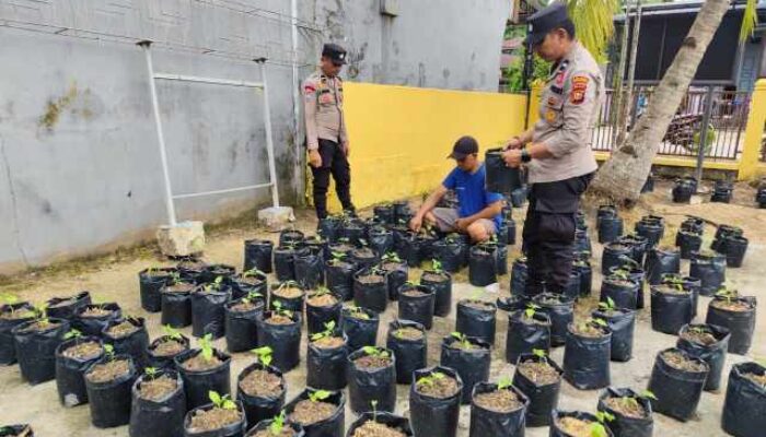 Sinergi Polri dan Petani, Polsek Tempuling Kawal Pembibitan Cabai untuk Perkuat Swasembada Pangan