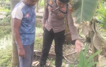 Dukung Swasembada Pangan, Personel Polsek Enok Turun Langsung Bina Warga Kelola Tanaman Pekarangan