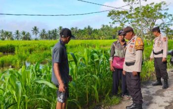 Polisi Dampingi Warga Ubah Pekarangan Jadi Lahan Jagung, Wujudkan Ketahanan Pangan