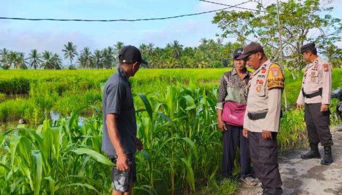 Polisi Dampingi Warga Ubah Pekarangan Jadi Lahan Jagung, Wujudkan Ketahanan Pangan