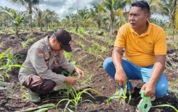 Polsek Pelangiran Bersama Masyarakat Perkuat Ketahanan Pangan di Desa Hidayah