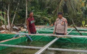 Polisi Pantau Budidaya Lele dan Mujair di Bagan Jaya, Pertumbuhan Bibit Dinilai Baik