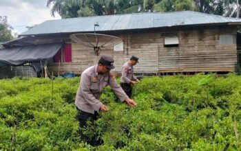 Tak Hanya Jaga Kamtibmas, Polsek KSKP Tembilahan Ajak Warga Pekan Arba Wujudkan Ketahanan Pangan